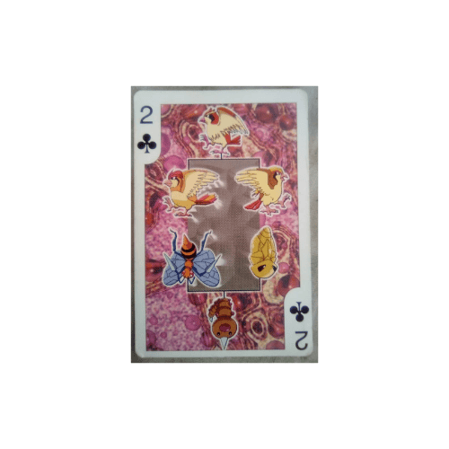 Carta Pokemon Mixta